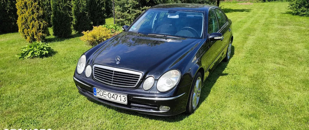 mercedes benz klasa e dębica Mercedes-Benz Klasa E cena 23500 przebieg: 451813, rok produkcji 2005 z Dębica